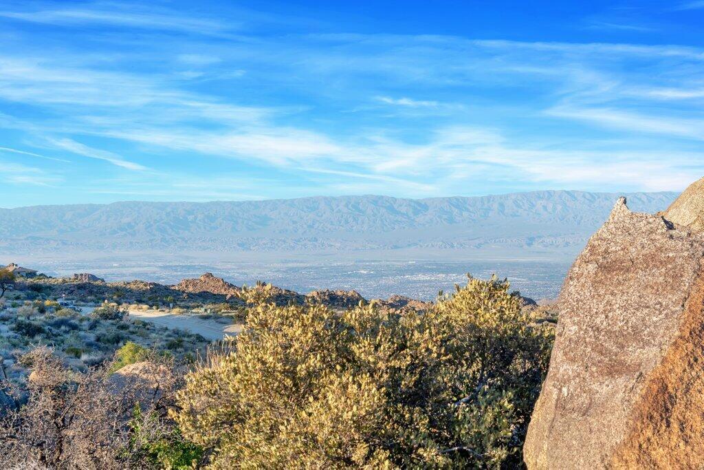 Royal Carrizo - Land