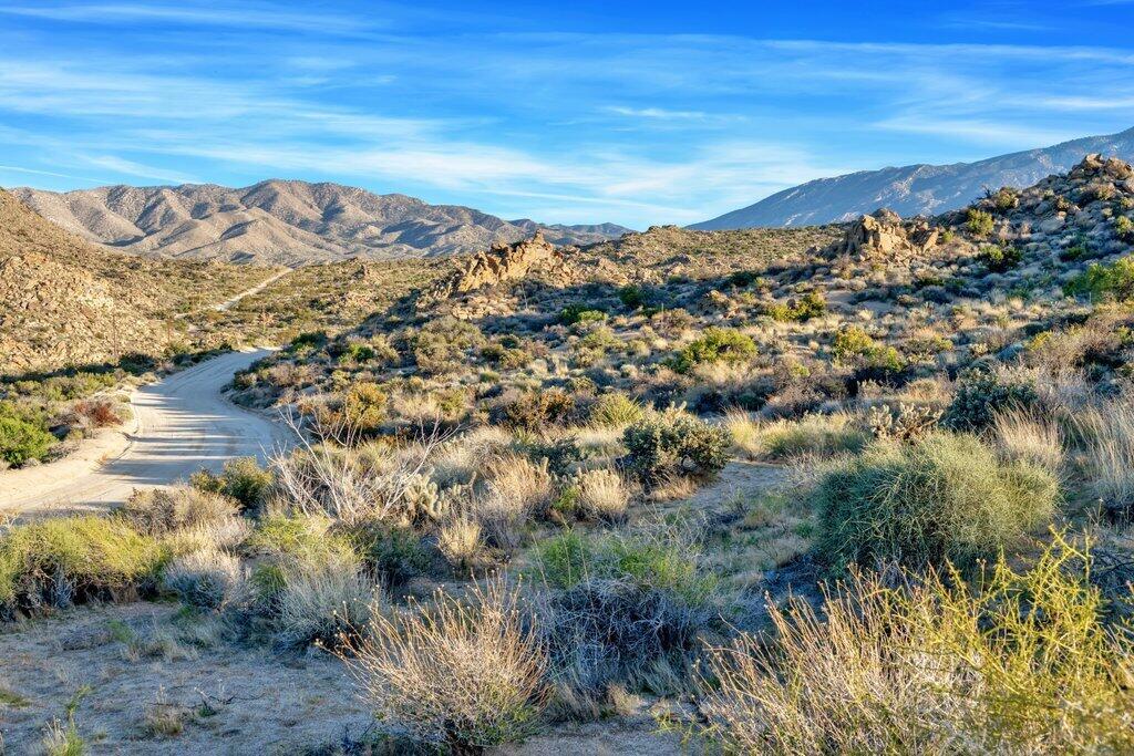 Royal Carrizo - Land