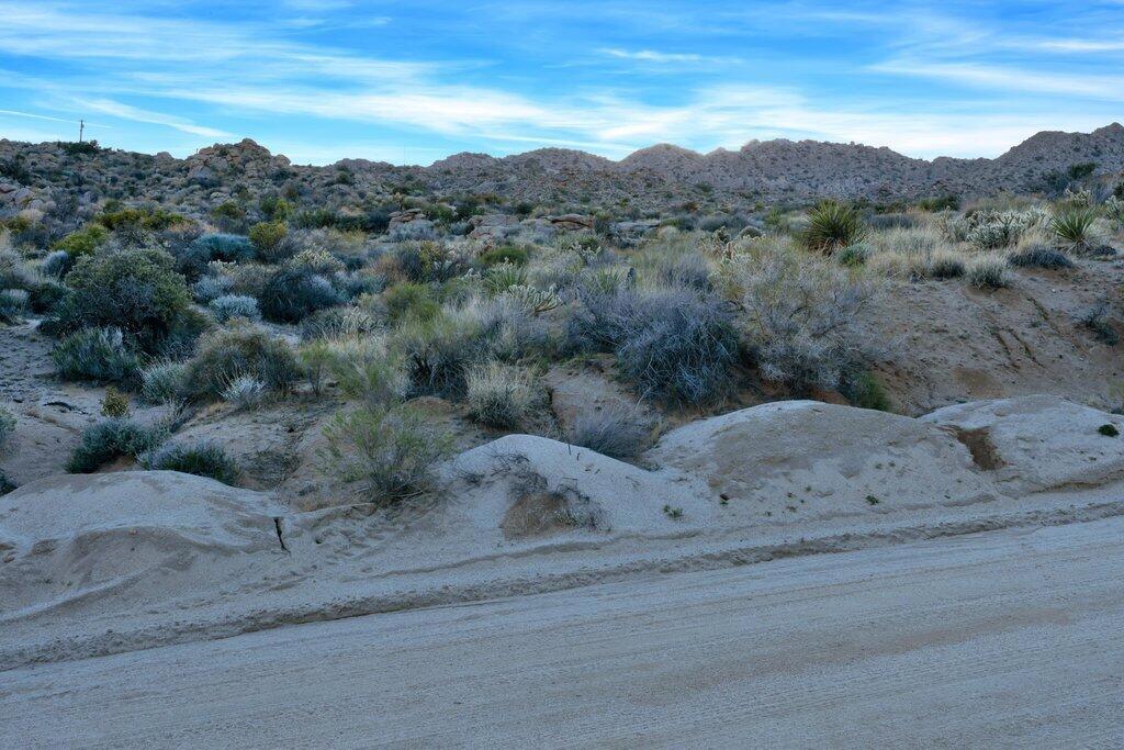 Royal Carrizo - Land