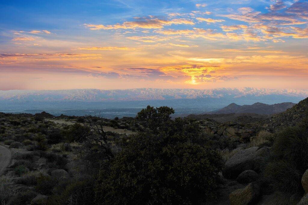 Royal Carrizo - Land