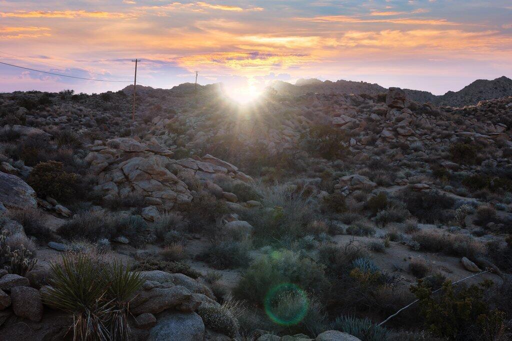 Royal Carrizo - Land