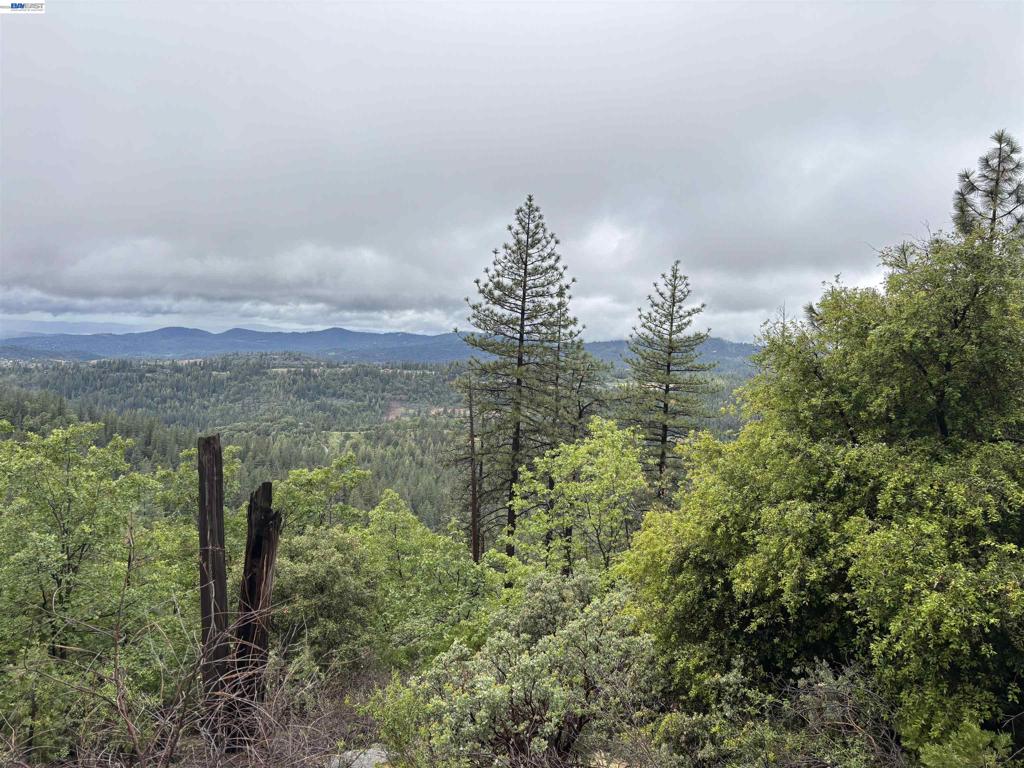 20800 Mount Provo Road