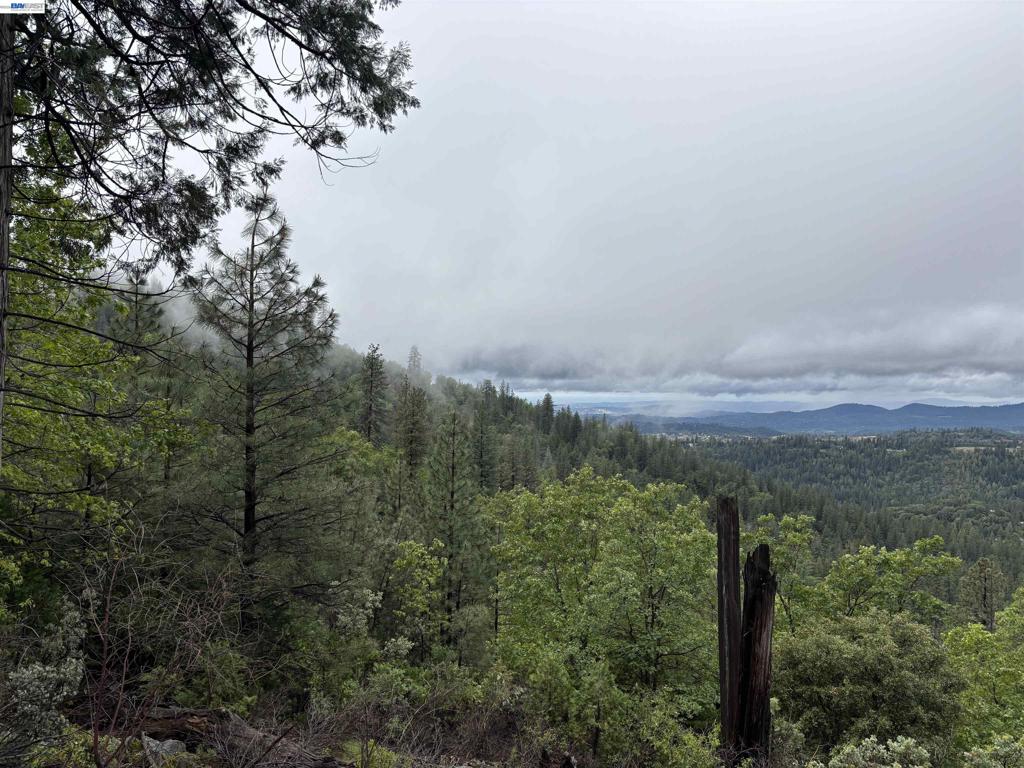 20800 Mount Provo Road