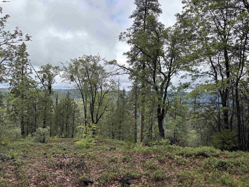 20800 Mount Provo Road