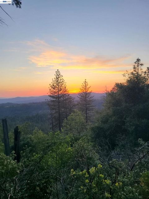 Photo of 20800 Mount Provo Road, Twain Harte, CA 95383 (MLS # 41130785)