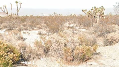 Photo of 9 233rd Street E, Llano, CA 93591 (MLS # OC25225292) Photo of 9 233rd Street E, Llano, CA 93591 (MLS # OC25225292)