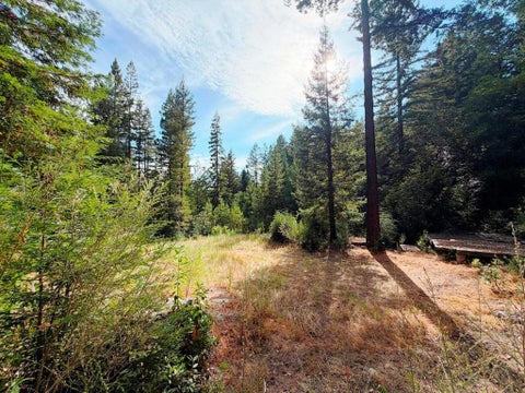 Photo of 320 Timber Cove Cv, Boulder Creek, CA 95006 (MLS # ML82060066)