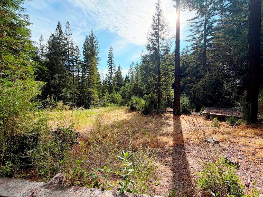 320 Timber Cove