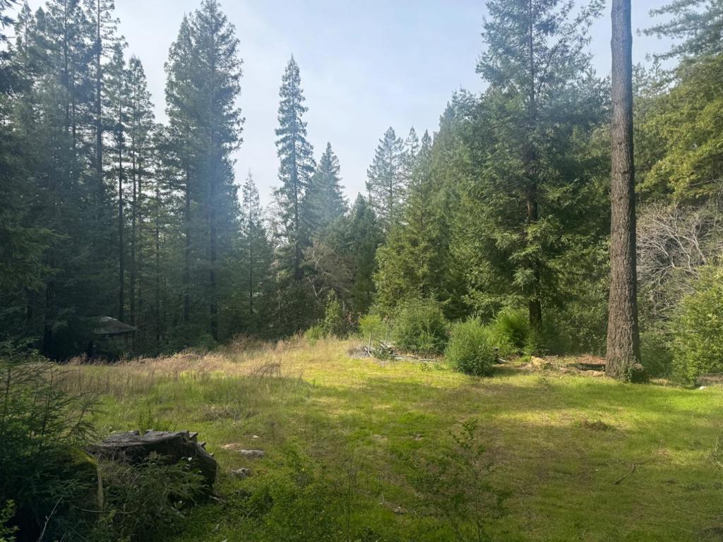 320 Timber Cove