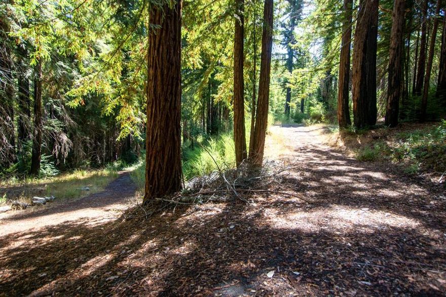 A paved private road winds through majestic redwoods and pines, in this park-like setting filled with a beautiful mix of sunlight and shade. Whether youre seeking a quiet retreat, a family compound, or an investment opportunity, the natural beauty and potential here are unmatched.  An extraordinary opportunity to create your dream home and more on this serene 10-acre parcel nestled in the Santa Cruz Mountains. Once home to a primary residence and ADU lost in the 2020 CZU fire, this property now offers a fresh canvas for new beginnings.  Located just 7 minutes from downtown Boulder Creek, and ideally situated between the Boulder Creek Golf Course and Big Basin State Park, you'll have easy access to world-class hiking, nature, and small-town charm. If you're ready to build new dreams in a truly magical location, this is the place. Utilities and permitting status to be verified by buyer.