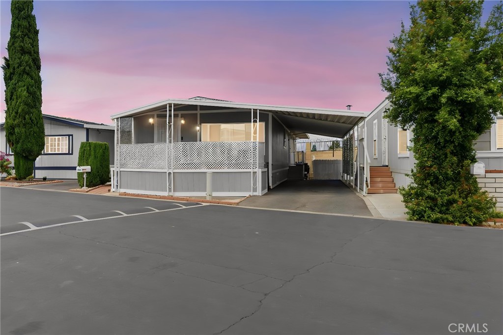 519 Willow