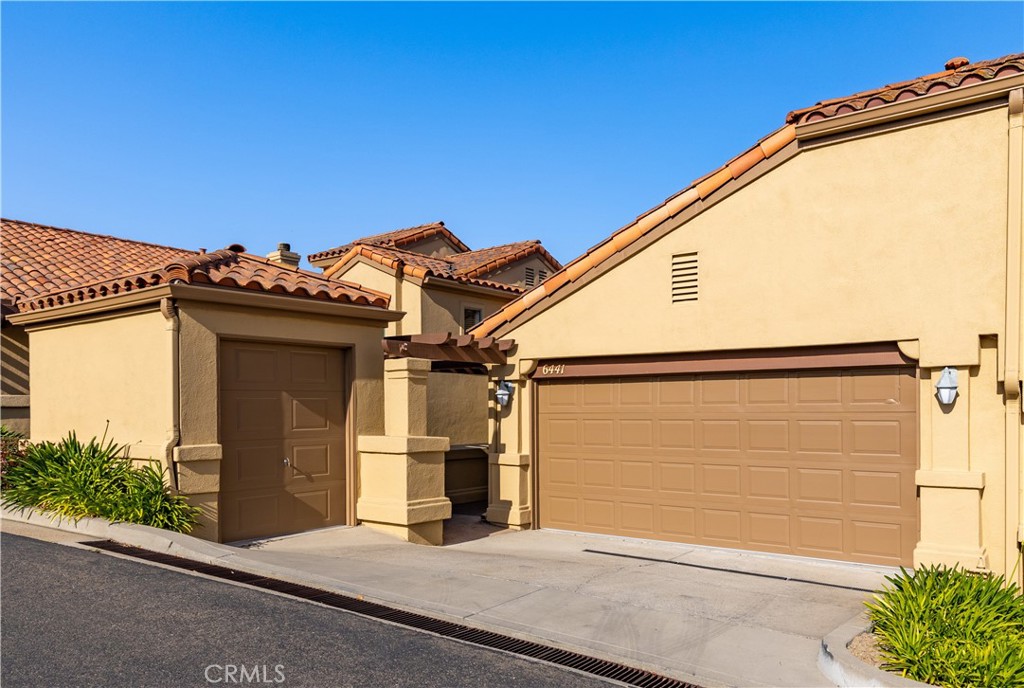 6441 Fiddleneck Lane 23