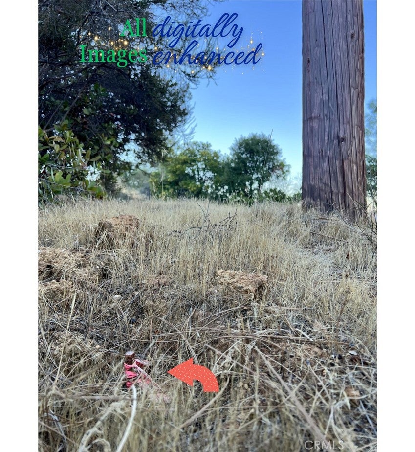 12230 Cerrito Drive
