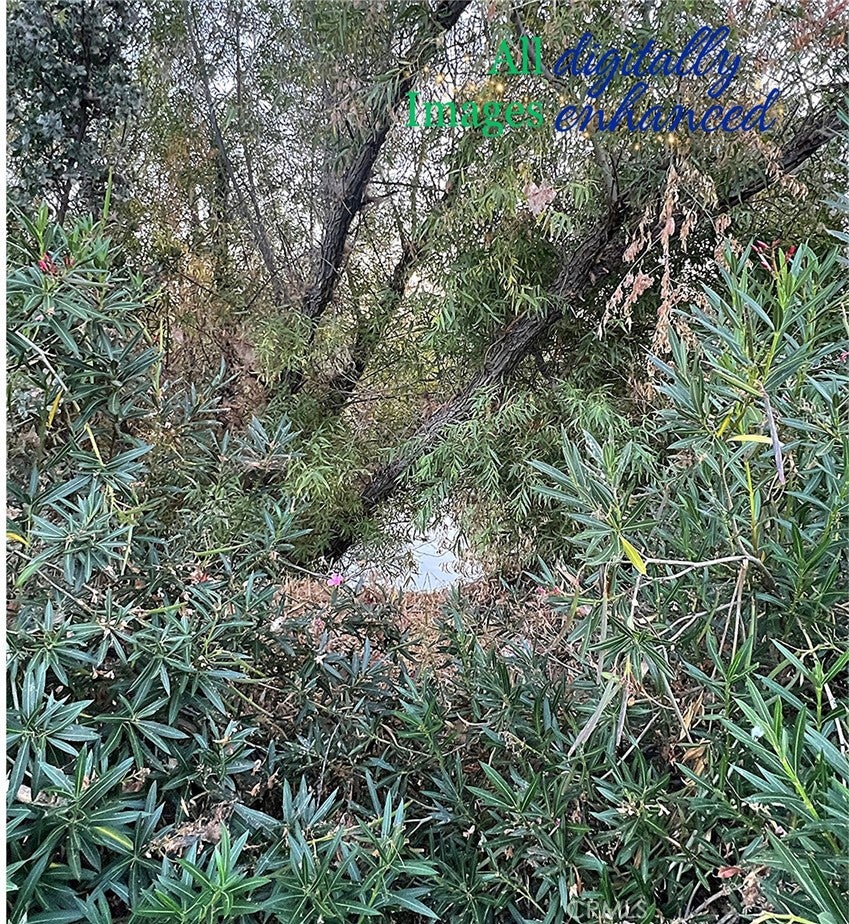 12230 Cerrito Drive