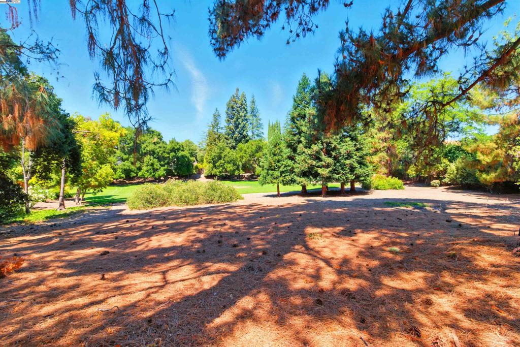 RUDGEAR MEADOWS - Residential
