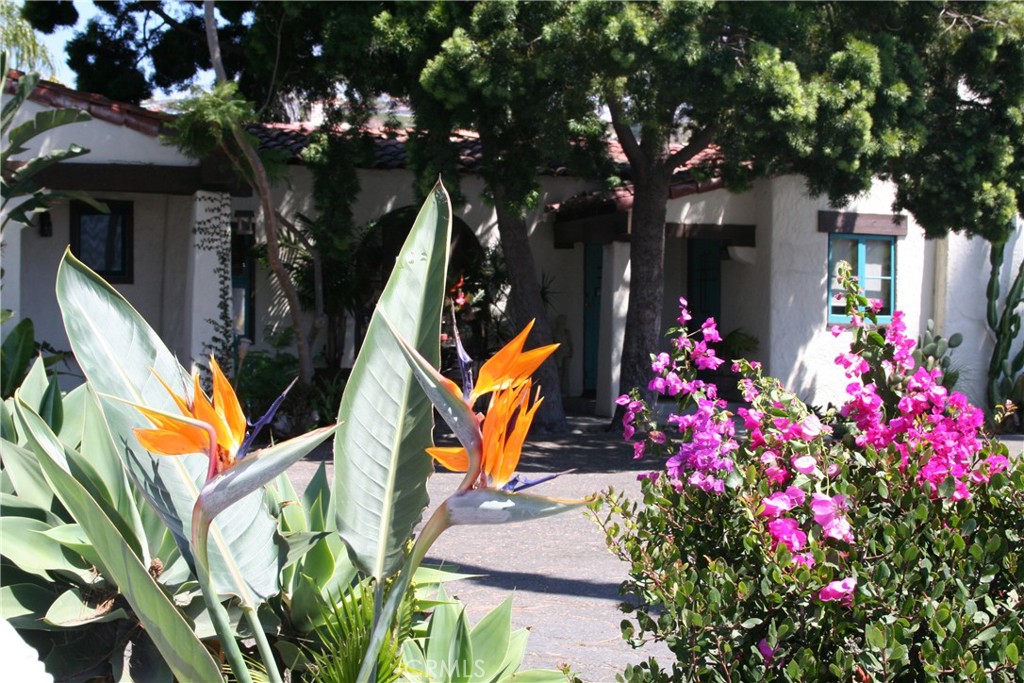 This property is a prize piece of San Clemente history. "The Warner Apartments". Judge Warner who was an orange county Judge in the 20's bought the property from Ole Hanson in 1926 for $5000. The next day they lent him $10,000. to build the apartments. Judge Warner was Pop Wrner, ( The famous youth football originator) brother. This one of a kind prestige's location sits on top of acres of native coastal T-Street canyon. If you are looking for privacy and want to be surrounded my Natural coastal canyon greenbelt this is the location. Featuring custom hand painted title, Hardwood and tile floors, T&G vaulted cathedral ceilings, wood burning fireplaces, multiple patios with canyon views, and plenty of off street parking on this huge quarter acre lot.