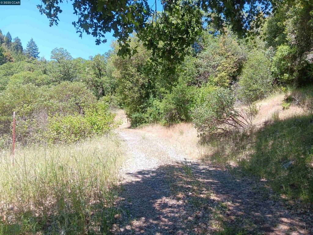 Properties 2 55855 Highway 101