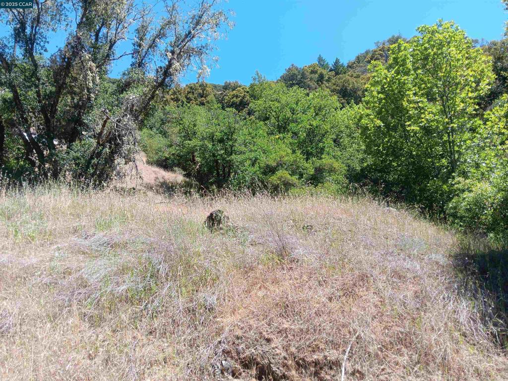 Properties 1 55855 Highway 101