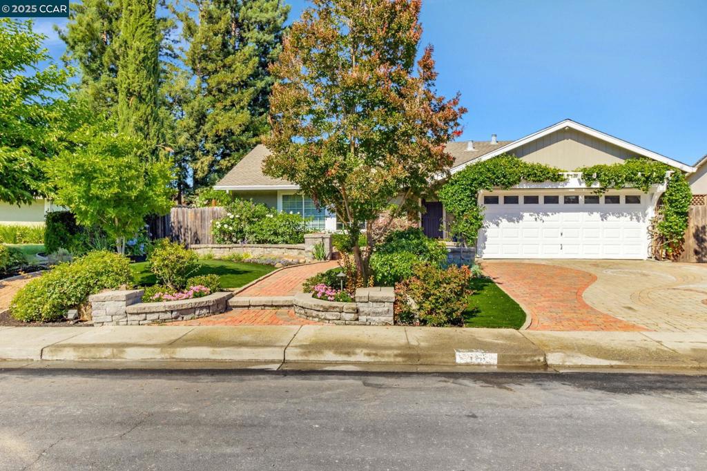 Gorgeous San Ramon rancher with Modern Mediterranean flair on a quiet court with easy access to excellent schools. Light, bright and open floor plan with beautiful 3/4" solid Hickory floors, Simonton windows, recessed LEDs, wood burning fireplace and lovely wood detailing including crown moulding throughout. New kitchen with large island, marble countertops, 5 burner Wolf induction cooktop, Thermador retractable exhaust fan, Franke sink and Rohl faucet. The upscale bedrooms include built-ins, mirrored closet doors, and classic wall trim. Bathrooms have been updated and the main bath has heated travertine floors for beauty and luxurious warmth on cool mornings. Exterior features include custom paver driveway, drought resistant landscaping, and a water feature in the front yard. The backyard has a wood swing, Porphyry patio and fire pit, European travertine and redwood raised planter boxes with seating, bocce ball court, DG paths and paver patio with wood pergola draped in grape vines. This home can be tailored to suit your needs with a flex space in the garage, RV parking and plans for a 770sf ADU approved by the city of SR in 2015. This is a must see home!