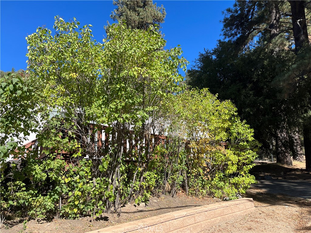 39950 7 Oaks 41