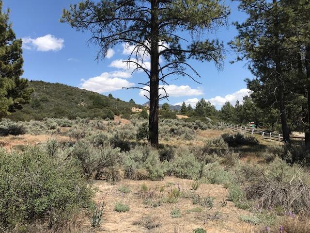 Garner Valley - Land