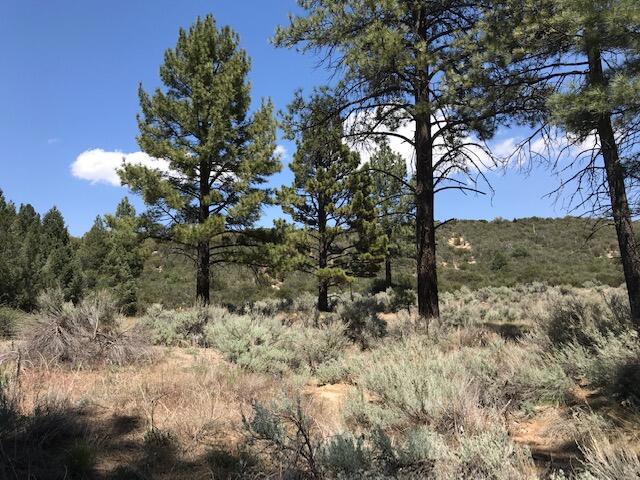 Garner Valley - Land