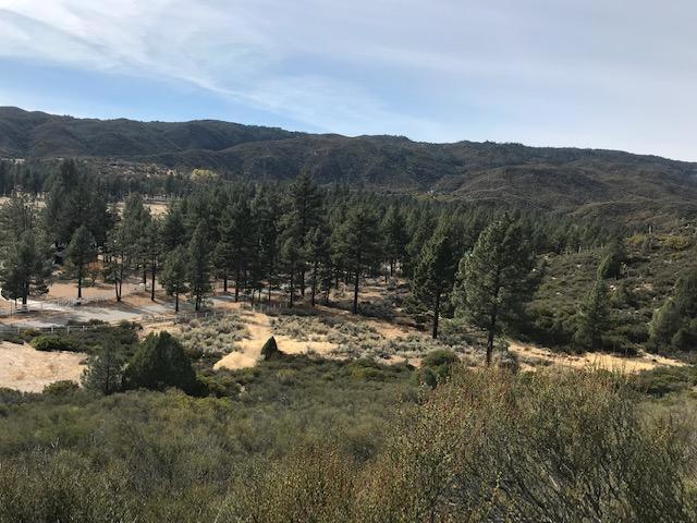 Rare panoramic view lot in beautiful Garner Valley with loads of room to build your dream home. 1000 feet of frontage. Private drive to the top of the hill with a large pad for building with panoramic views of the whole valley and loads of room below for additional buildings , equestrian facilities, tennis court etc. One of very few lots left in Garner Valley and the only one with unobstructed views of the valley . Enjoy all 4 seasons in this beautiful valley surrounded by majestic mountains. The map is deceiving,The aerial locator for this property is inaccurate so please disregard. When you exit Hwy 74 on Butterfly Peak it's less than one mile on the left and has loads of flat ground to build your dream home and the frontage is already fenced Please call agent for correct location and to set up an appointment to view this one of a kind property. HOA dues are $700 a year.