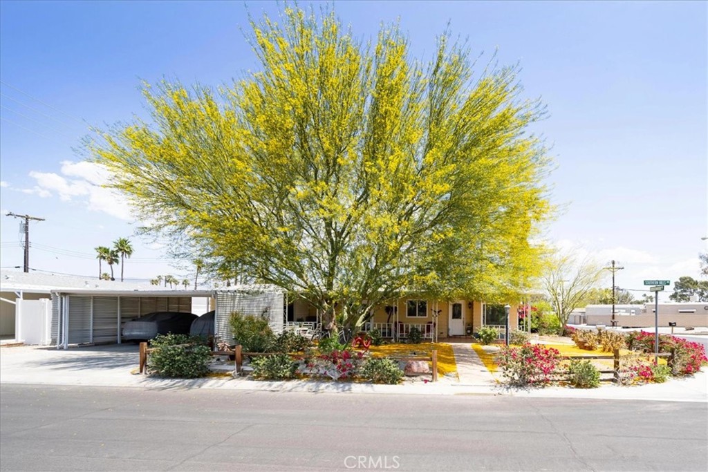 Tri Palm Estates (32005) - Manufactured In Park