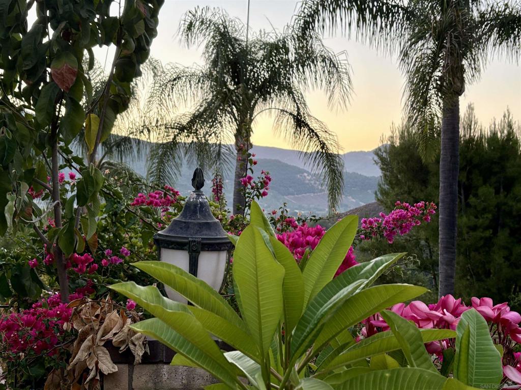 Pauma Valley - Residential