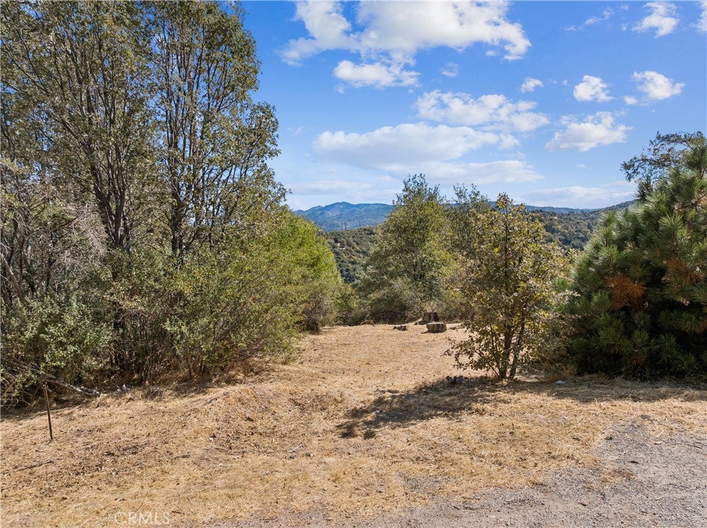 289 Glen Avon Drive