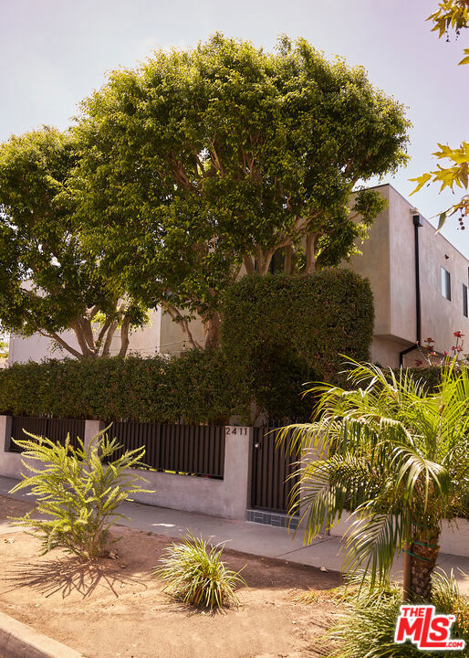 2411 Abbot Kinney Boulevard