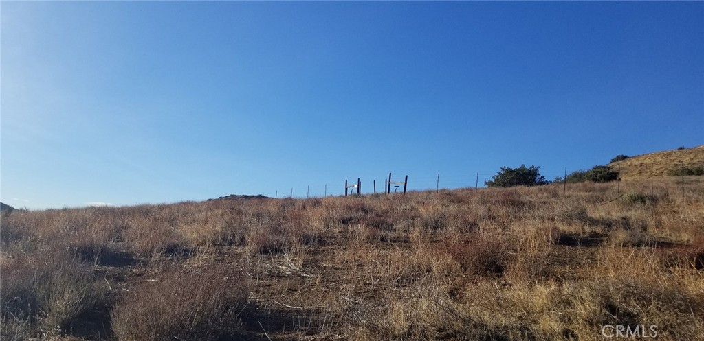 Custom Acton (CACTO) - Land