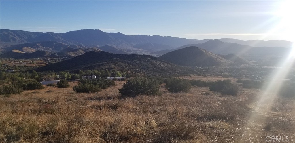 Custom Acton (CACTO) - Land