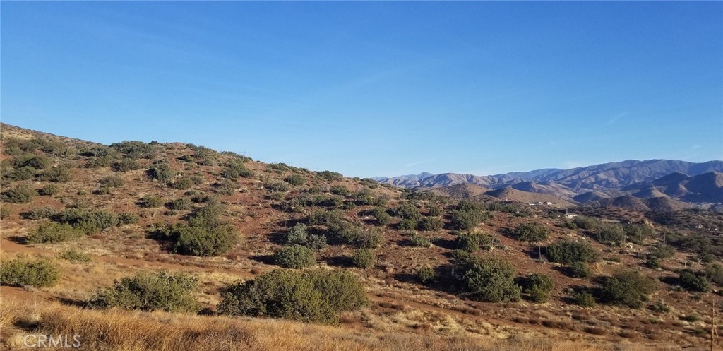 Custom Acton (CACTO) - Land