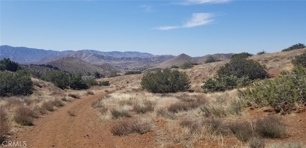 Custom Acton (CACTO) - Land