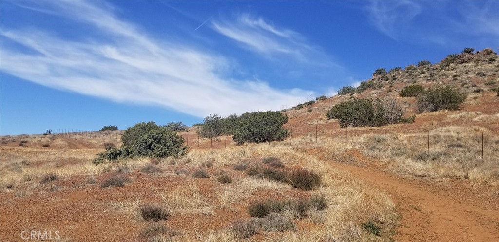 Custom Acton (CACTO) - Land