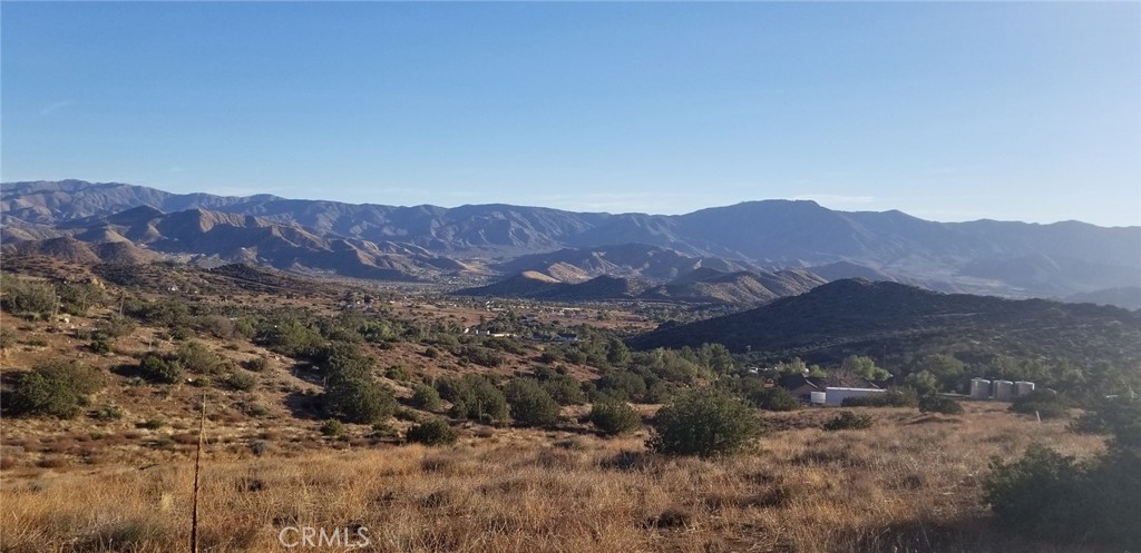 Custom Acton (CACTO) - Land