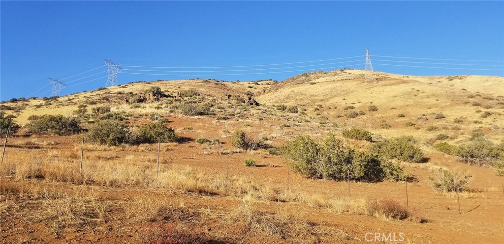 Custom Acton (CACTO) - Land