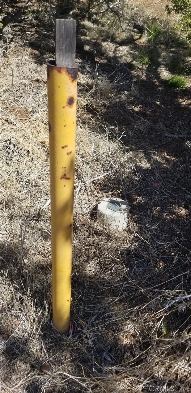 Custom Acton (CACTO) - Land