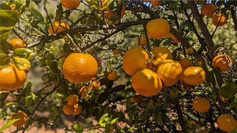 27 Via Escalon Temecula CA 92590