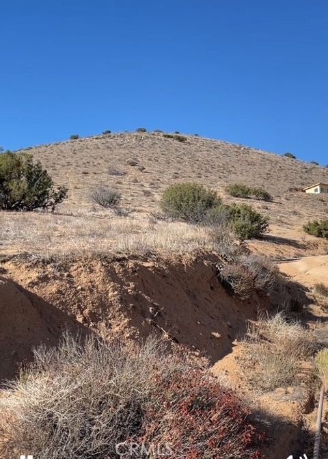 Photo of 0 San Gabriel Ave., Acton, CA 93510 (MLS # SR25266748)