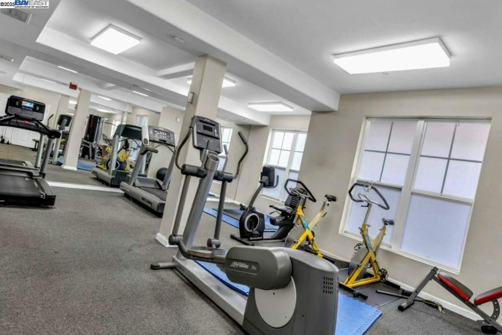 THE TRIANGLE - Residential