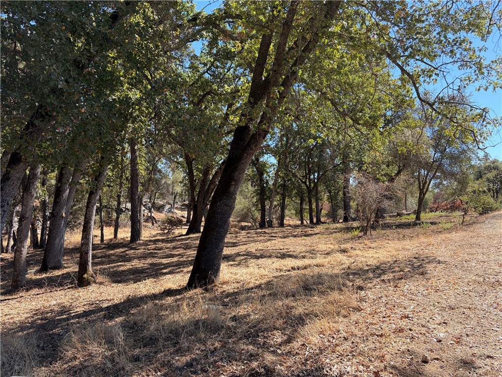 0 Morningstar Lane