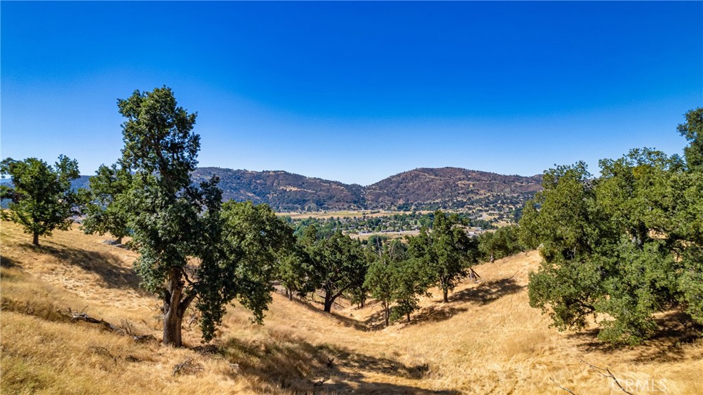 Discover the perfect setting for your dream home on this picturesque 1.71-acre lot in the private, gated community of Bear Valley Springs. Nestled among rolling hills and majestic oak trees, this serene property offers the ideal blend of natural beauty and space for your country lifestyle.
Zoned for horses, goats, chickens, and more, the property allows up to four hooved animals per acre—perfect for equestrian or hobby farm enthusiasts.
Bear Valley Springs offers an impressive array of amenities, including:
A scenic 9-hole golf course
A heated Olympic-size swimming pool, open year-round
Tennis courts plus indoor and outdoor pickleball courts
An equestrian center and 55 miles of horseback riding and hiking trails (no bicycles or dirt bikes allowed)
A fully equipped gym with a hot sauna and spa
All these privileges come with a low annual HOA fee of $2,148, due each July 1st.
Don’t miss this rare opportunity to build your dream home and enjoy resort-style living in a tranquil mountain setting.