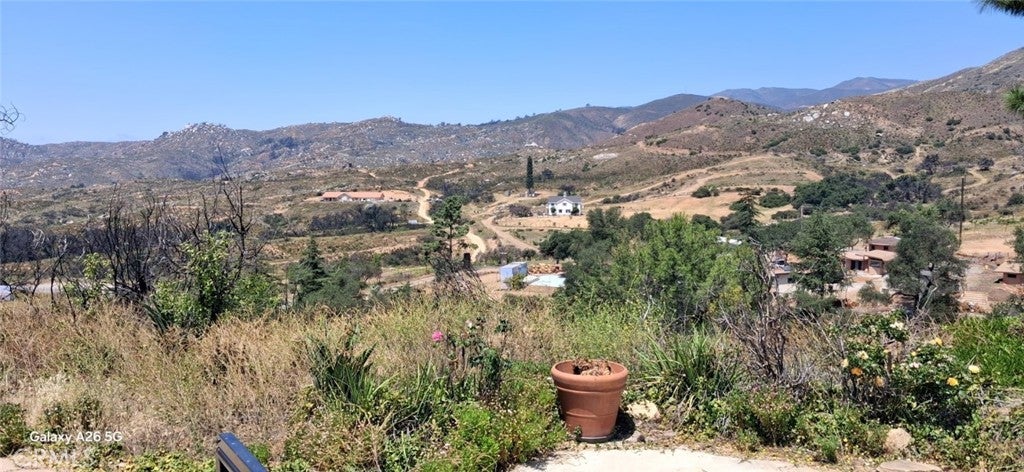 32780 Ortega