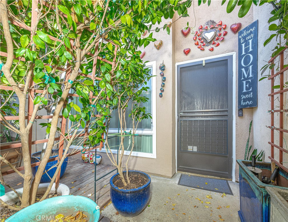 10732 Knott