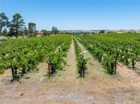 Tiny photo for 175 White Hawk LN, Templeton, CA 93465 (MLS # NS26116303)