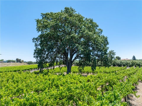 Tiny photo for 175 White Hawk LN, Templeton, CA 93465 (MLS # NS26116303)