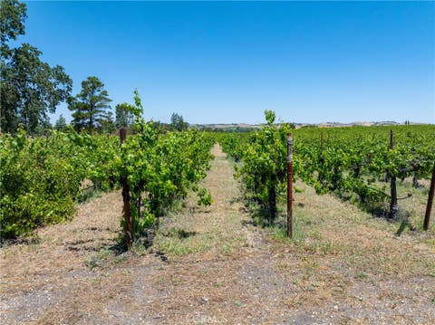 Tiny photo for 175 White Hawk LN, Templeton, CA 93465 (MLS # NS26116303)