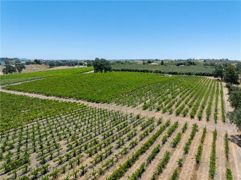 Tiny photo for 175 White Hawk LN, Templeton, CA 93465 (MLS # NS26116303)